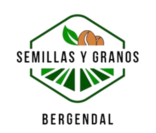 Logo Bergendal